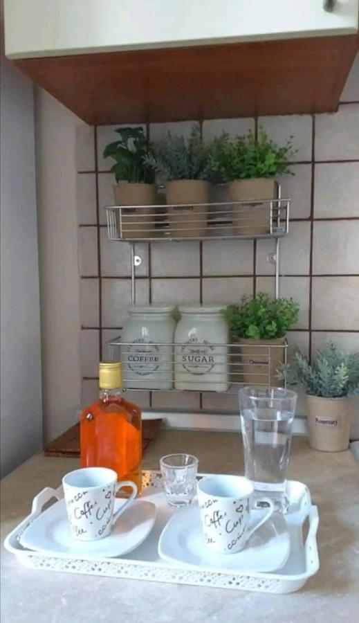 Villa Rosa Garden House Corfu  外观 照片