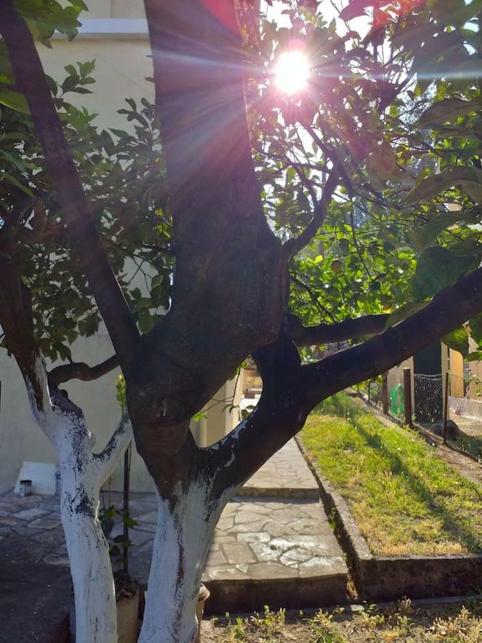 Villa Rosa Garden House Corfu  外观 照片