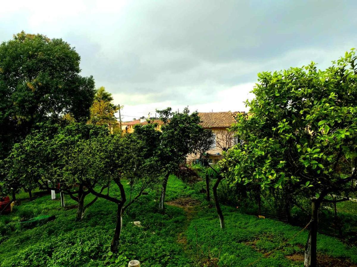 Villa Rosa Garden House Corfu  外观 照片